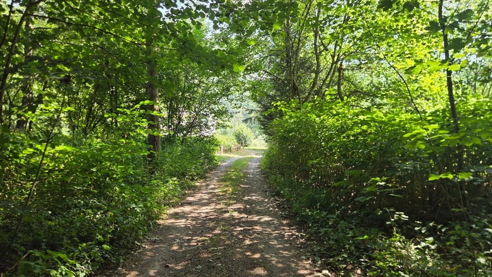 Natural landscape