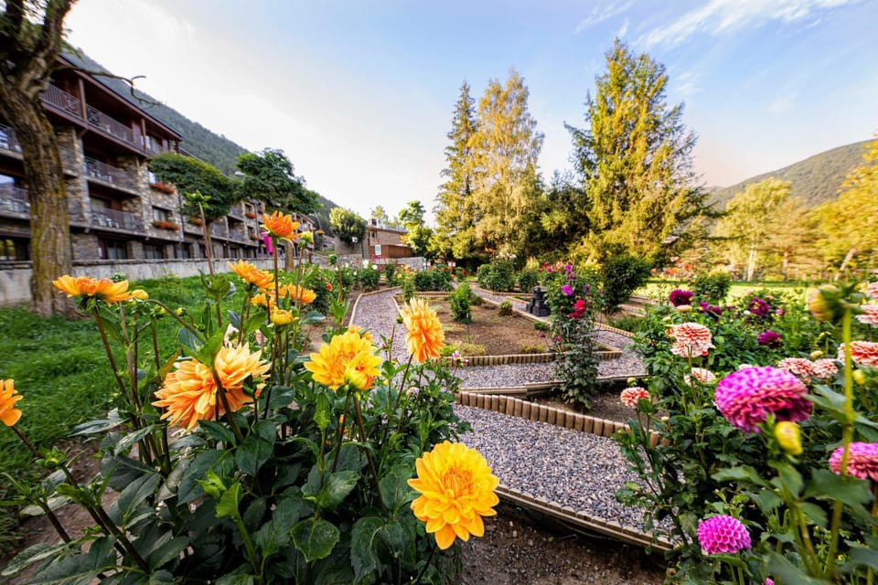 Summer, Garden