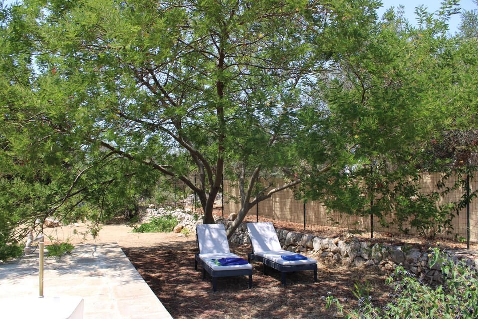 Natural landscape, Living room
