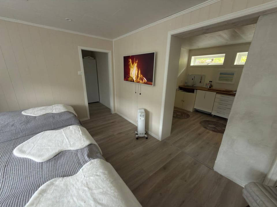 Bed, TV and multimedia, kitchen