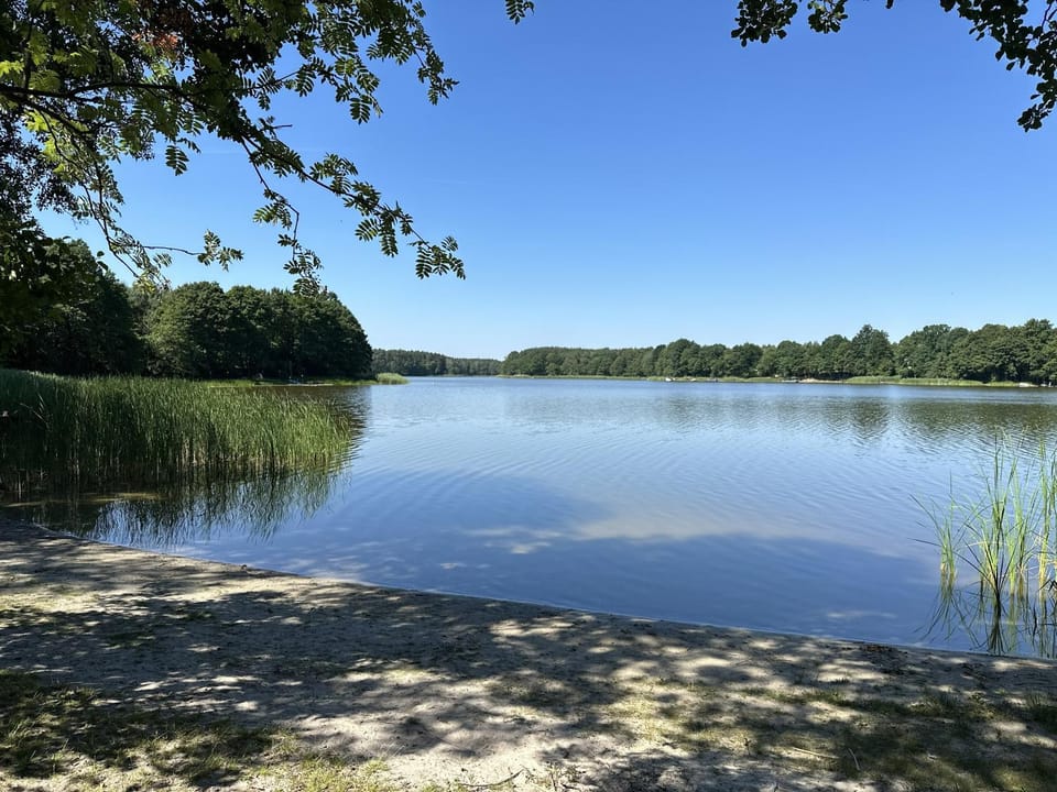 Spring, Day, Natural landscape, Beach, Lake view