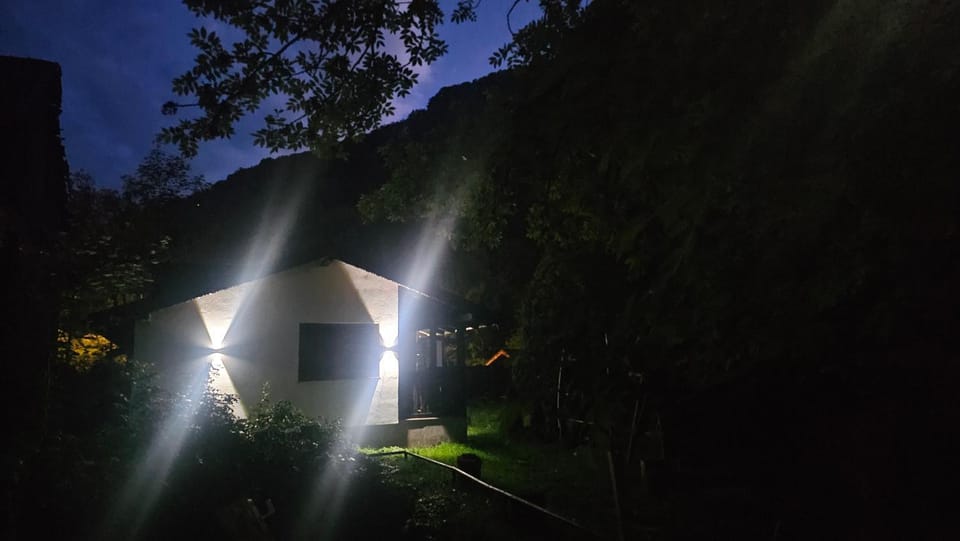 Cabana Valea Brândușelor House in Bran