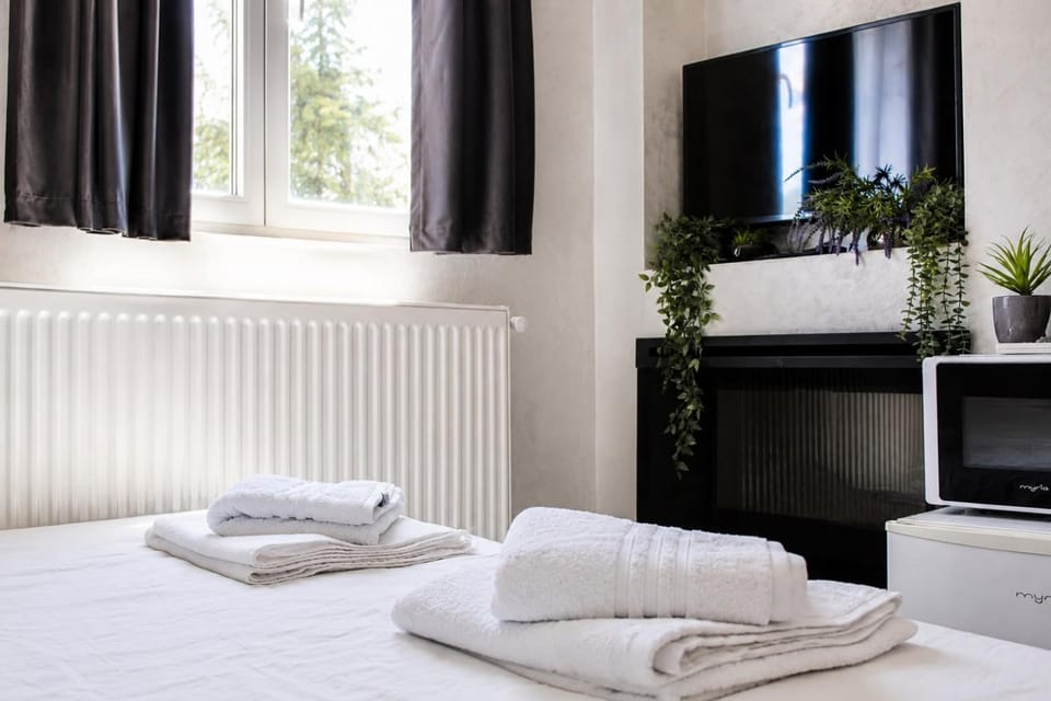 Teona Old Town Studio Apartment in Bucharest