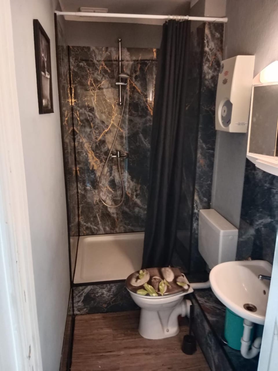 Shower, Toilet, Bathroom