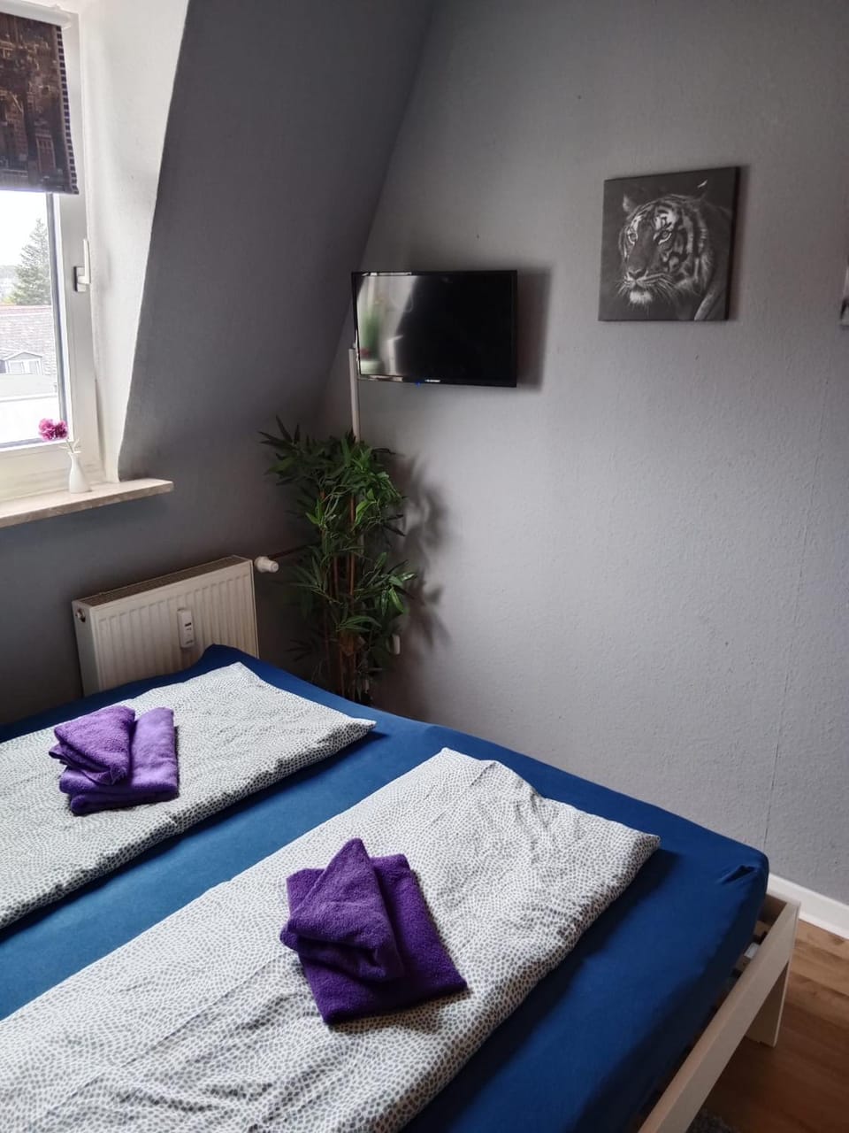 Bed, TV and multimedia, Photo of the whole room, Bedroom, towels