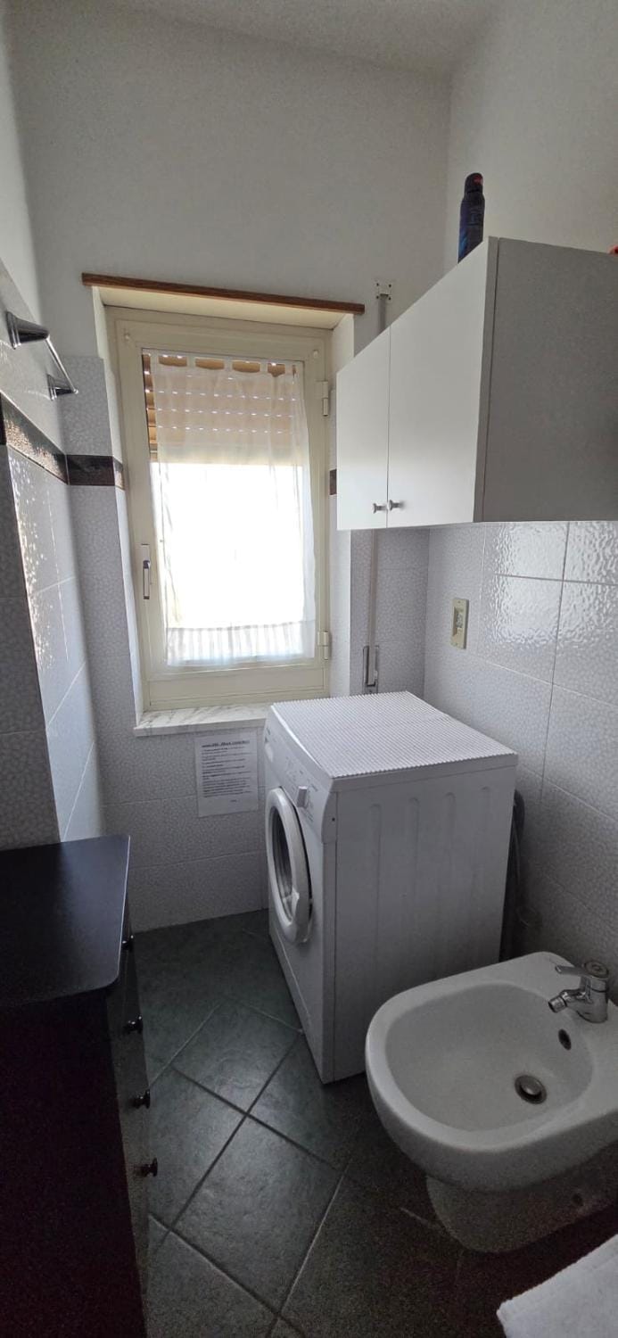 bidet, washing machine