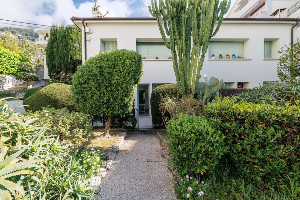 Property building, Spring, Day, Garden, Garden view