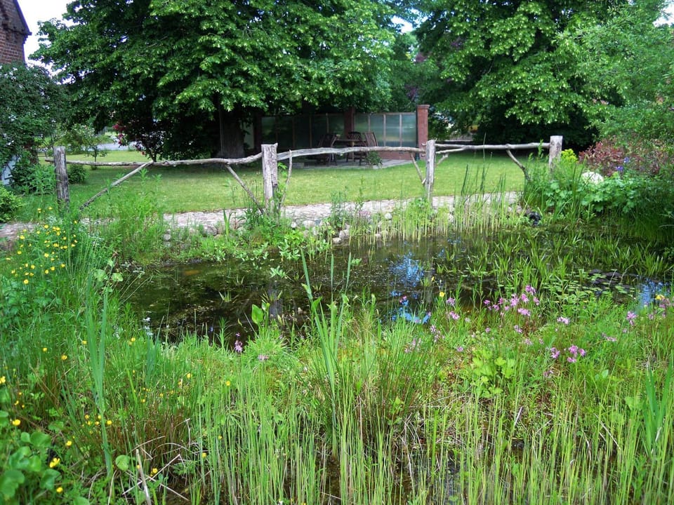 Garden, Garden