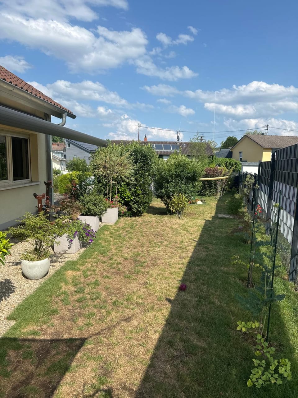 Garden view