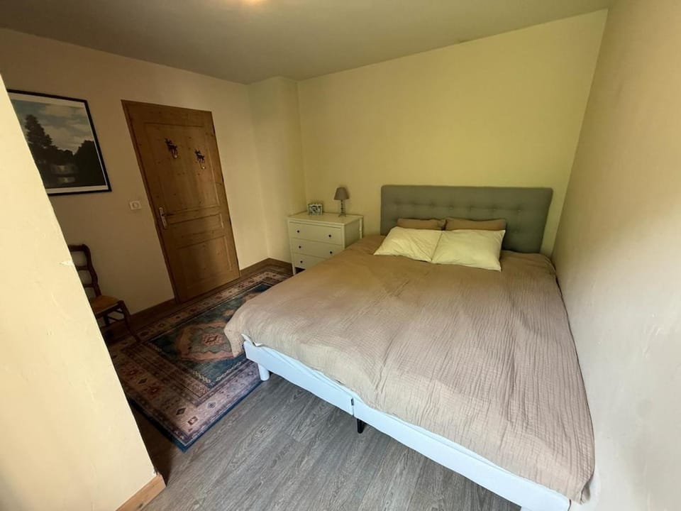 Spacious 2 Bedroom in Chamonix Center Apartment in Chamonix