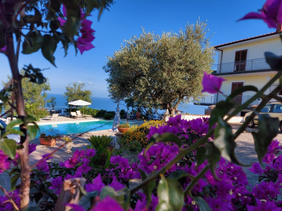 Villa Malandrino Guest House Bed and Breakfast in Agropoli