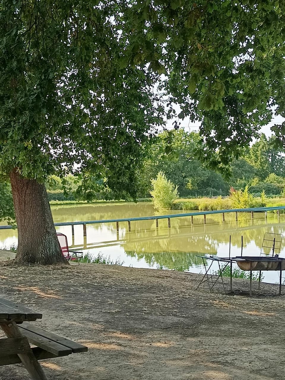 le chalet du vieux chêne Chalet in Bergerac