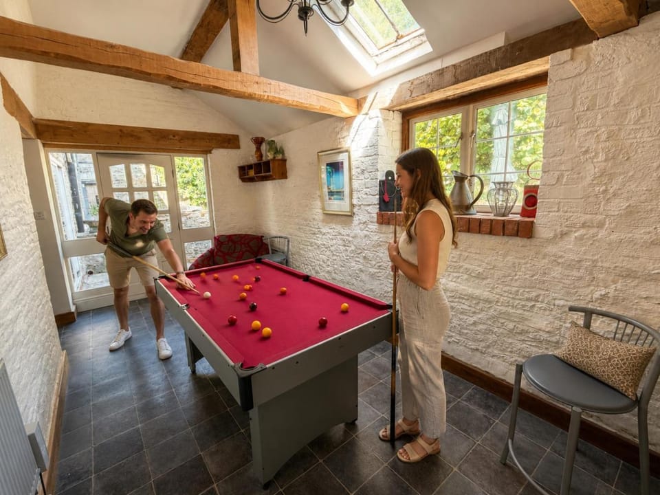 Billiard, Game Room