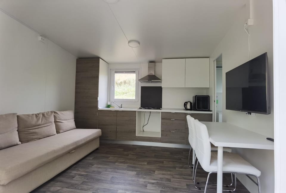 TV and multimedia, Kitchen or kitchenette, Living room, Seating area, Dining area, oven, pet friendly, stove
