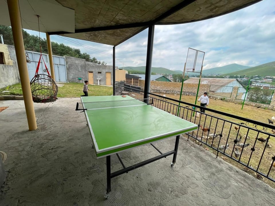 Table tennis, Table tennis