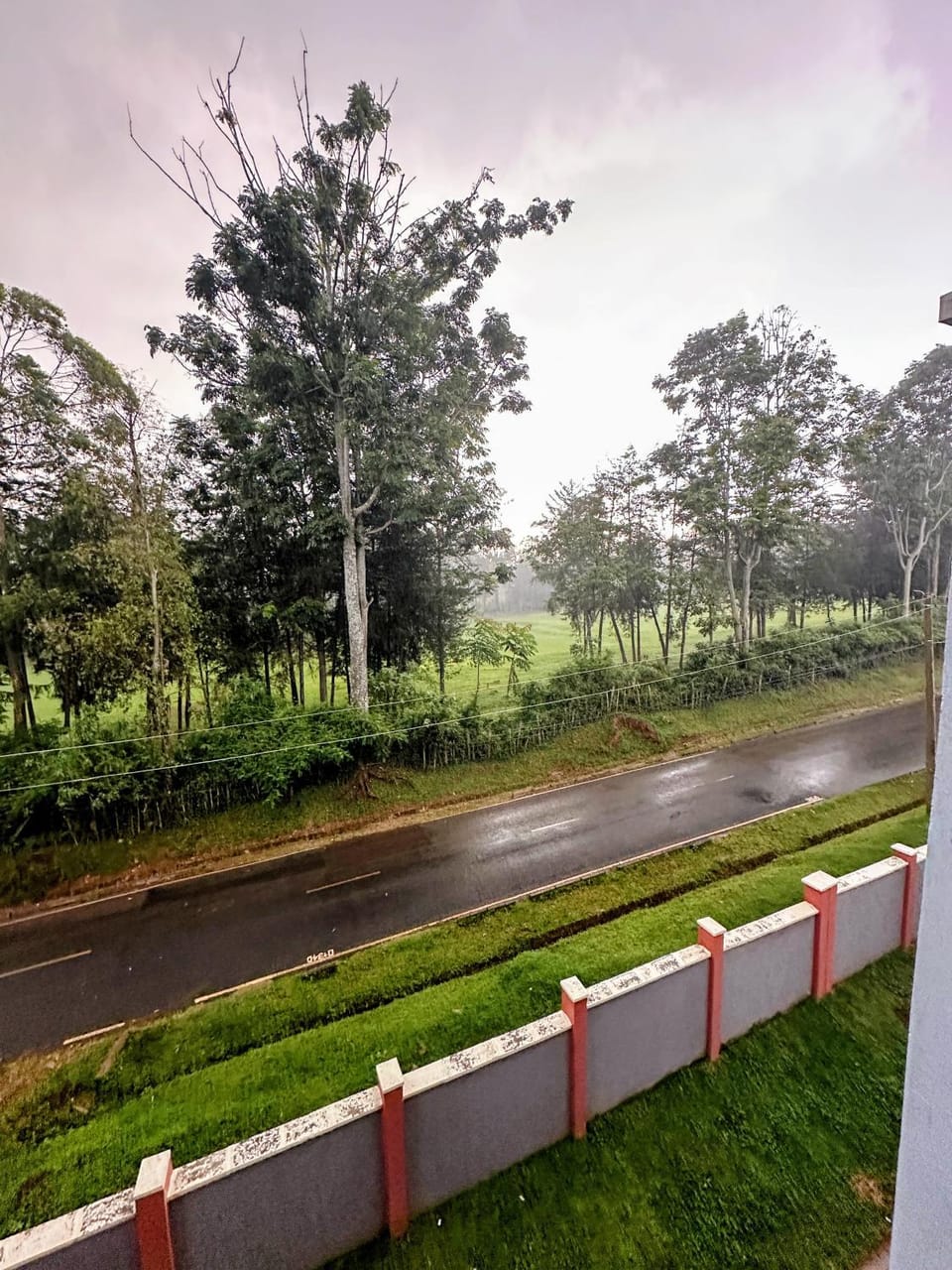 Kakamega Milimani 1 Bedroom near town with Natural Serenity & Parking Apartment in Kenya