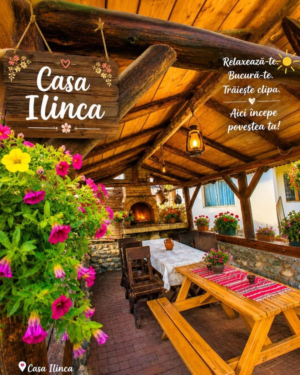 Casa Ilinca Bran Bed and Breakfast in Brașov County