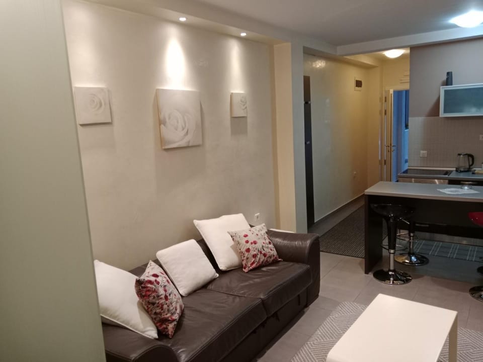 Luxury Apartment Apartment in Budva