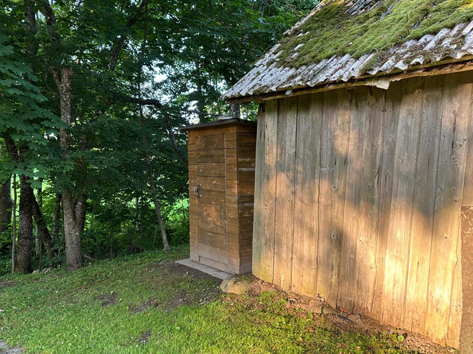 Toilet, Property building, Day, Natural landscape, Garden view
