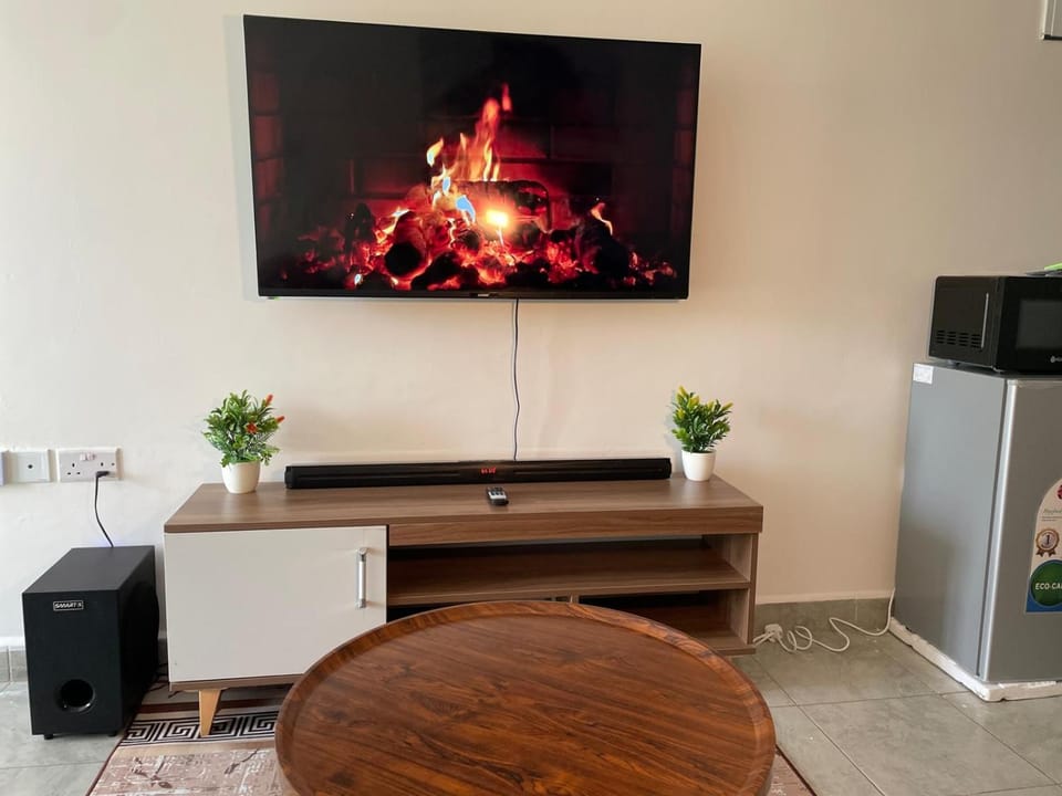 TV and multimedia