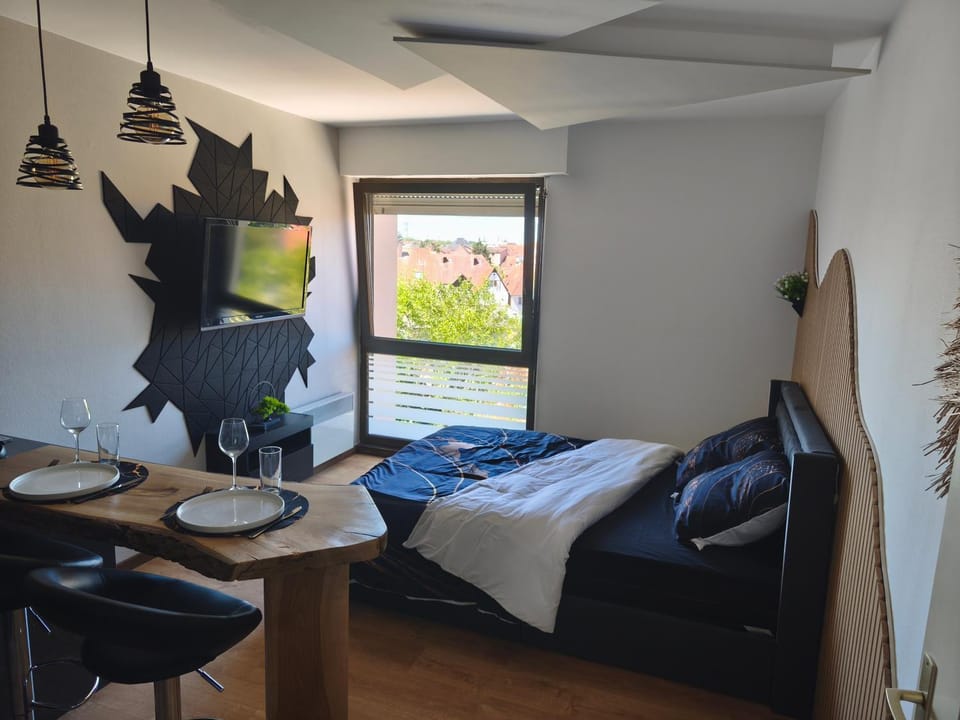 Cocon du bonheur Apartment in Haguenau