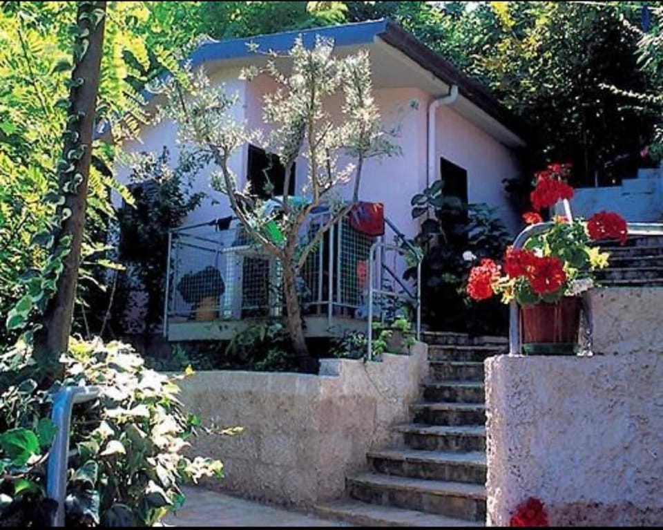 Property building, Spring, Day, Garden, Garden view