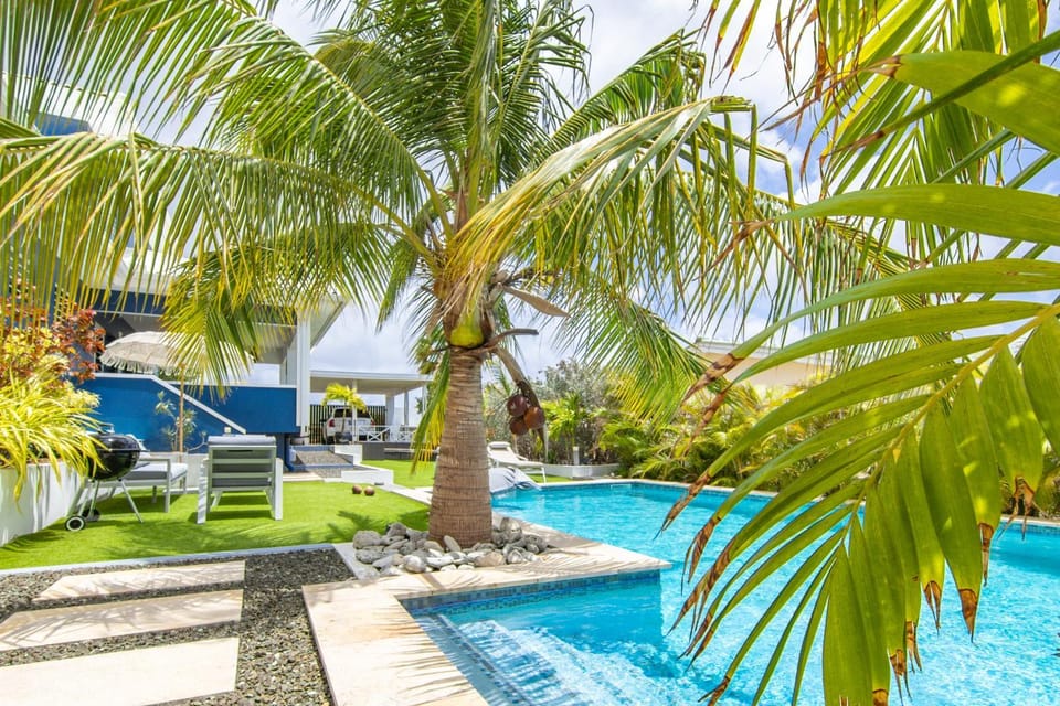 Garden, Swimming pool