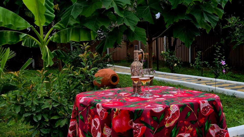 Panorama Tsinandali Bed and Breakfast in Georgia