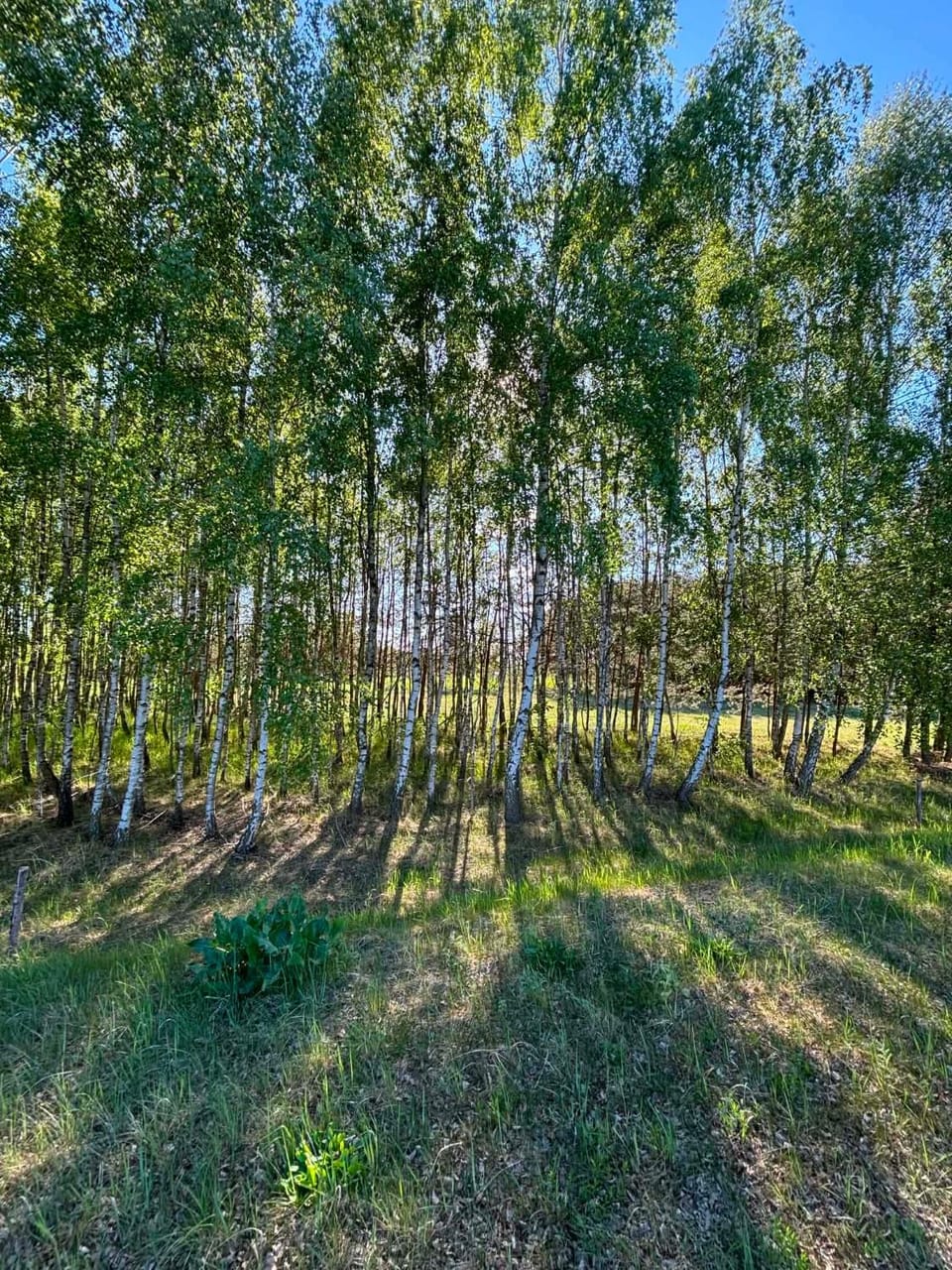 Domek wakacyjny agroturystyka, Długie Grodzieckie 10 House in Masovian Voivodeship
