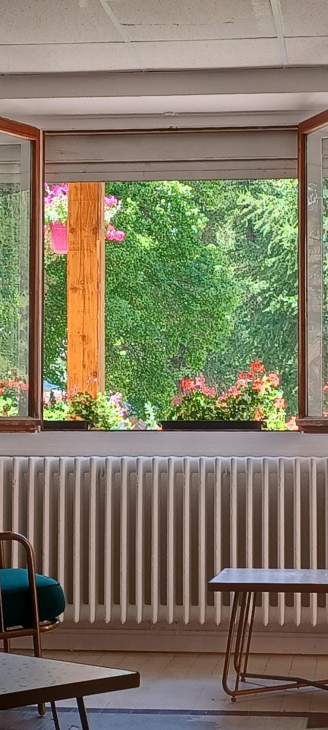 Garden view