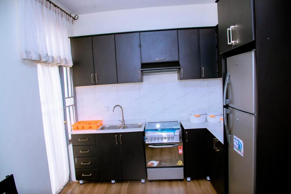 Cozy furnished twin houses Apartment in Africa