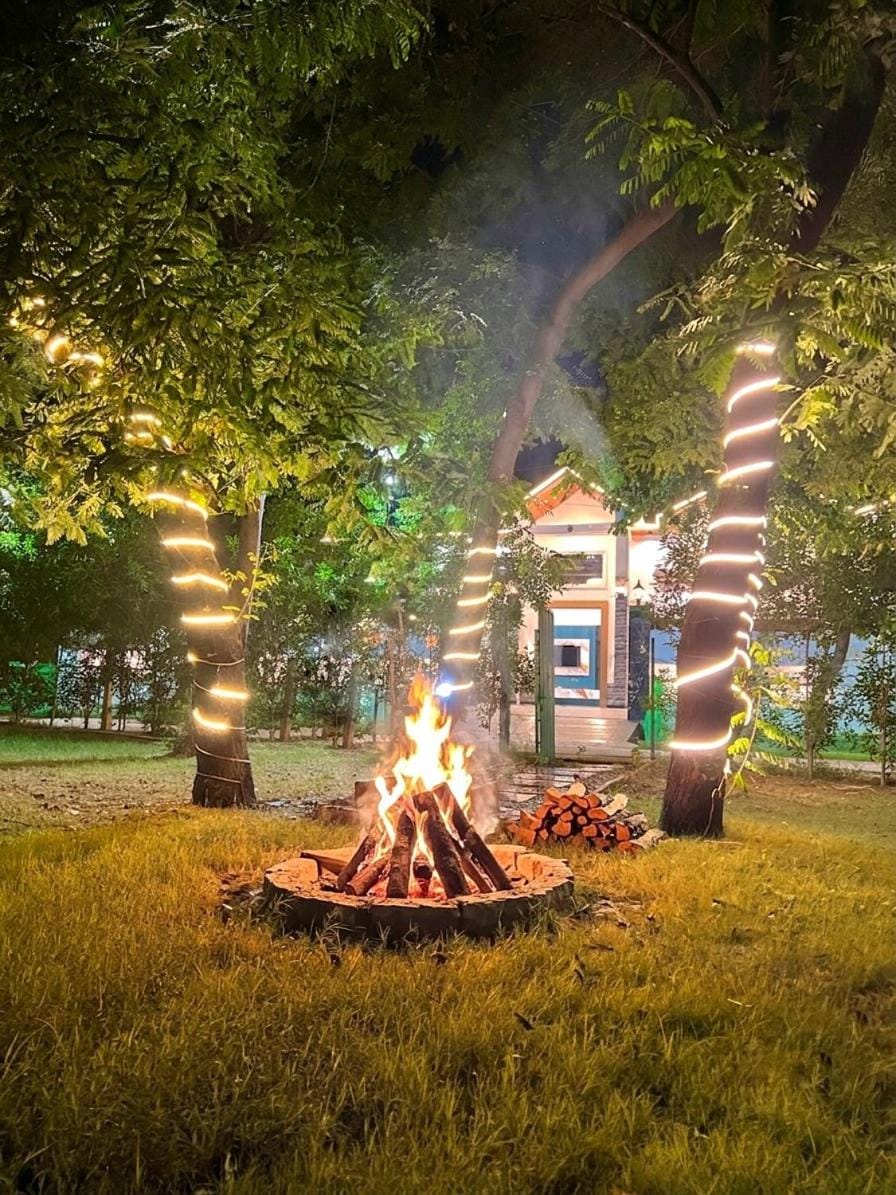Night, Natural landscape, BBQ facilities, Garden view