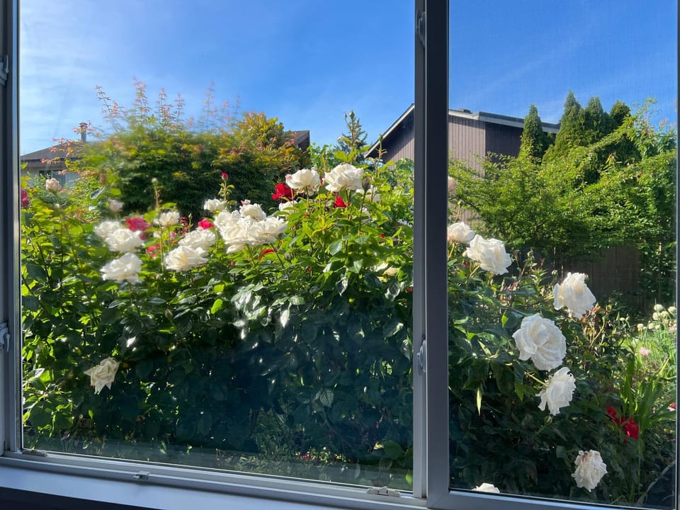 View (from property/room)