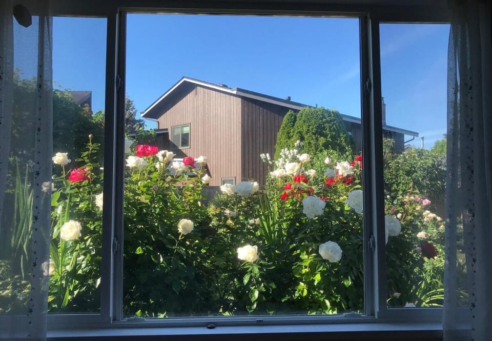 Dreamcatcher Apartment in Richmond
