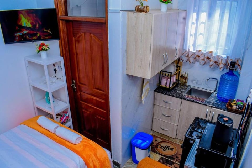 Delsy Studios Ruaka Apartment in Nairobi
