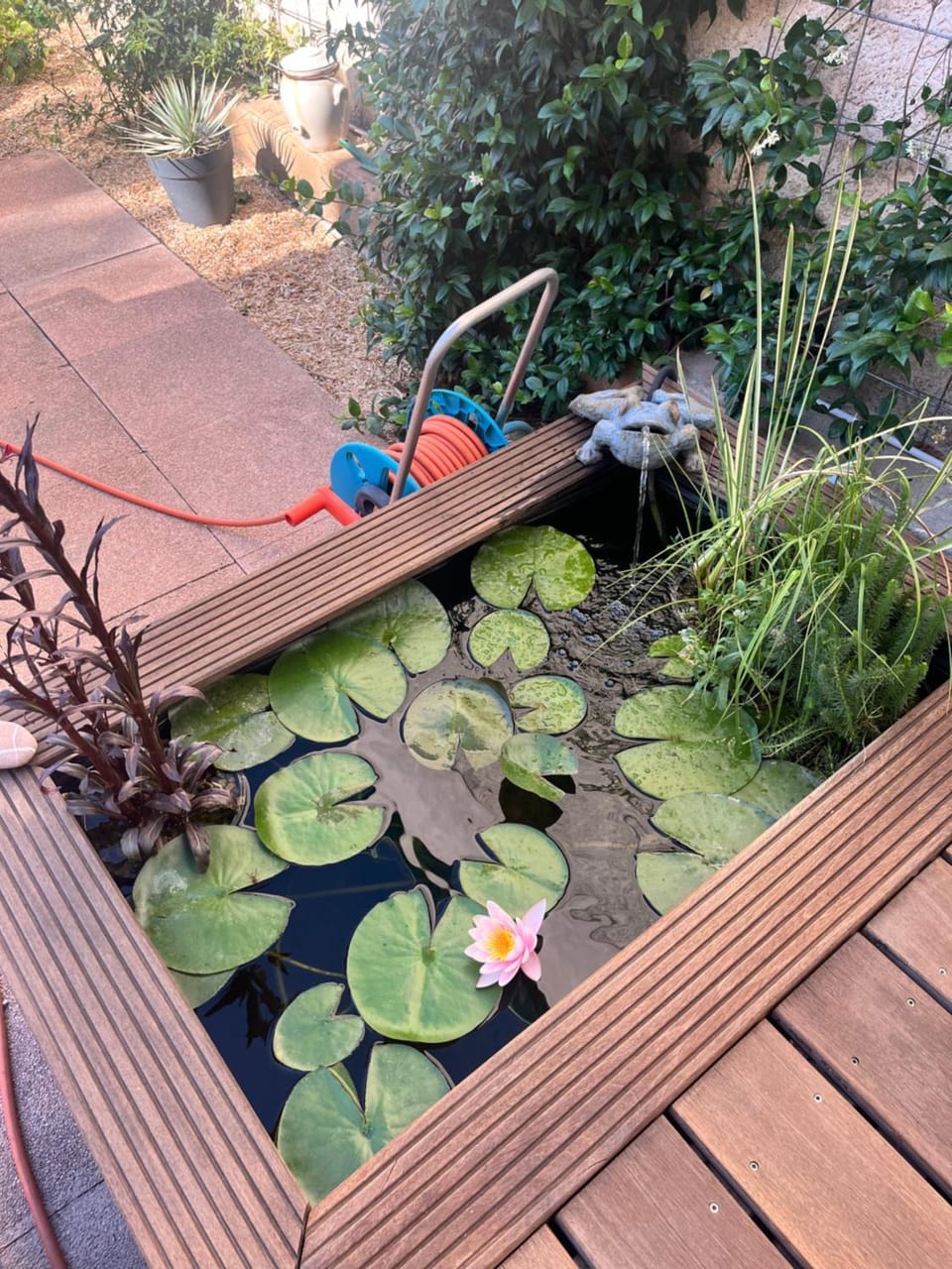 Garden view
