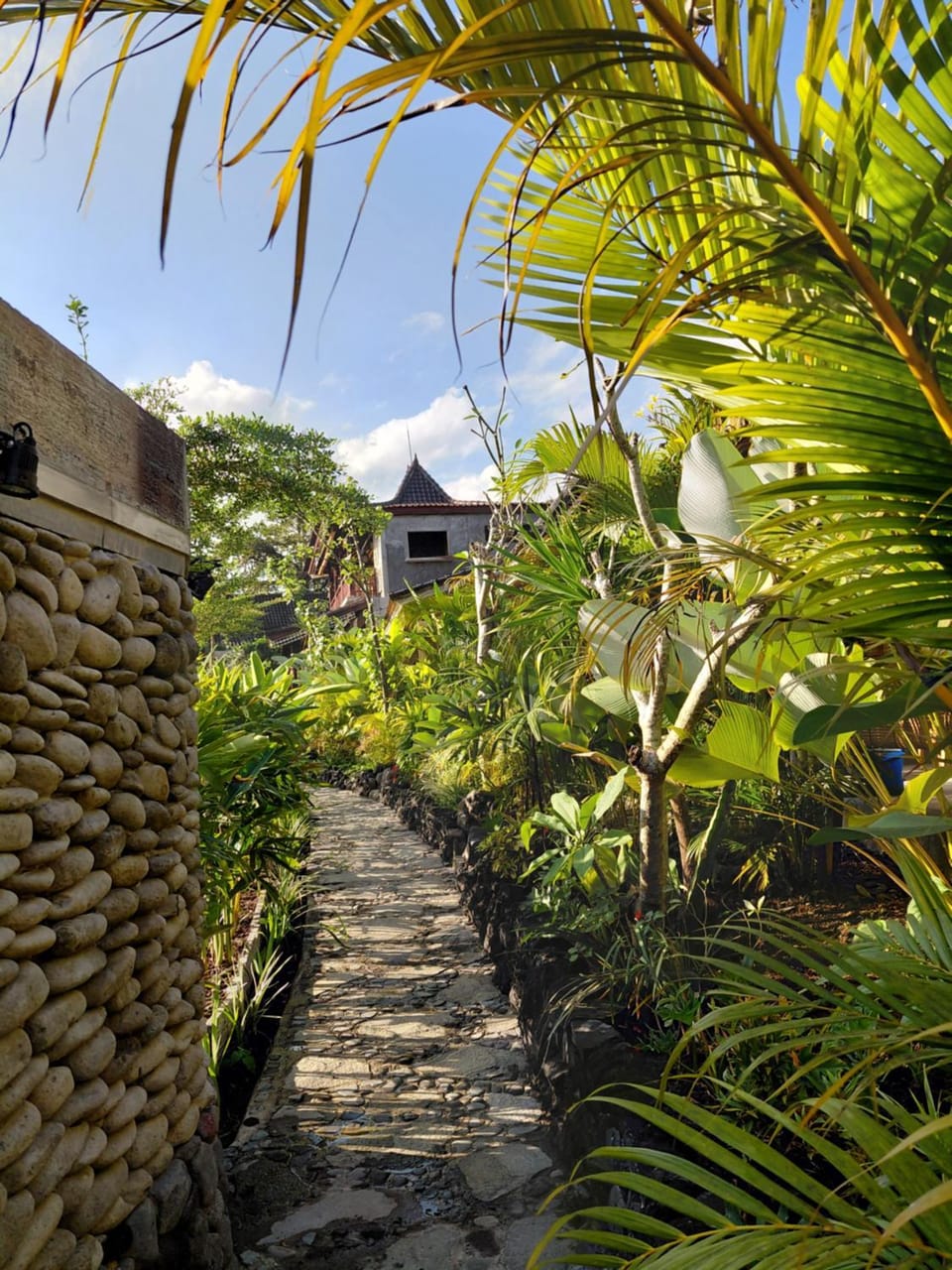 Day, Garden, Garden view