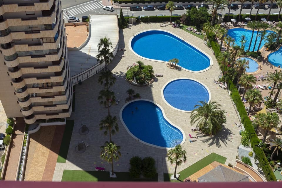Bird's eye view, Pool view, Swimming pool, Swimming pool, sunbed