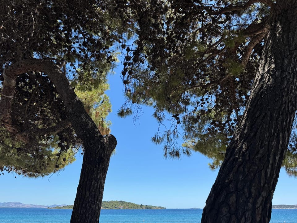 Day, Beach