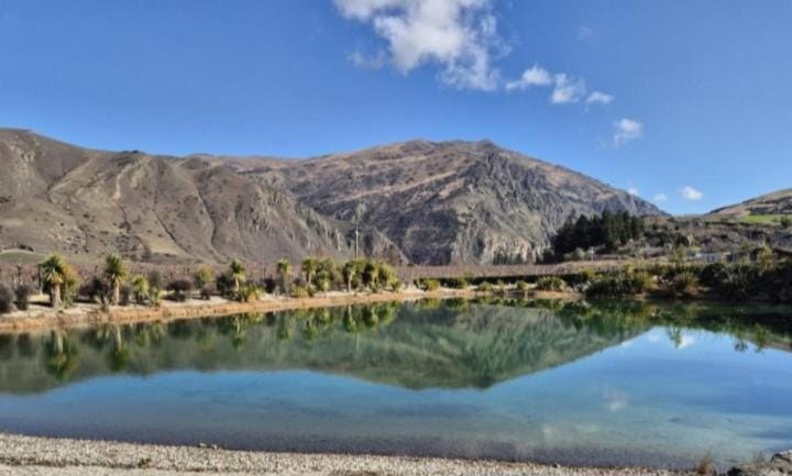 Paradise on Pearson House in Otago