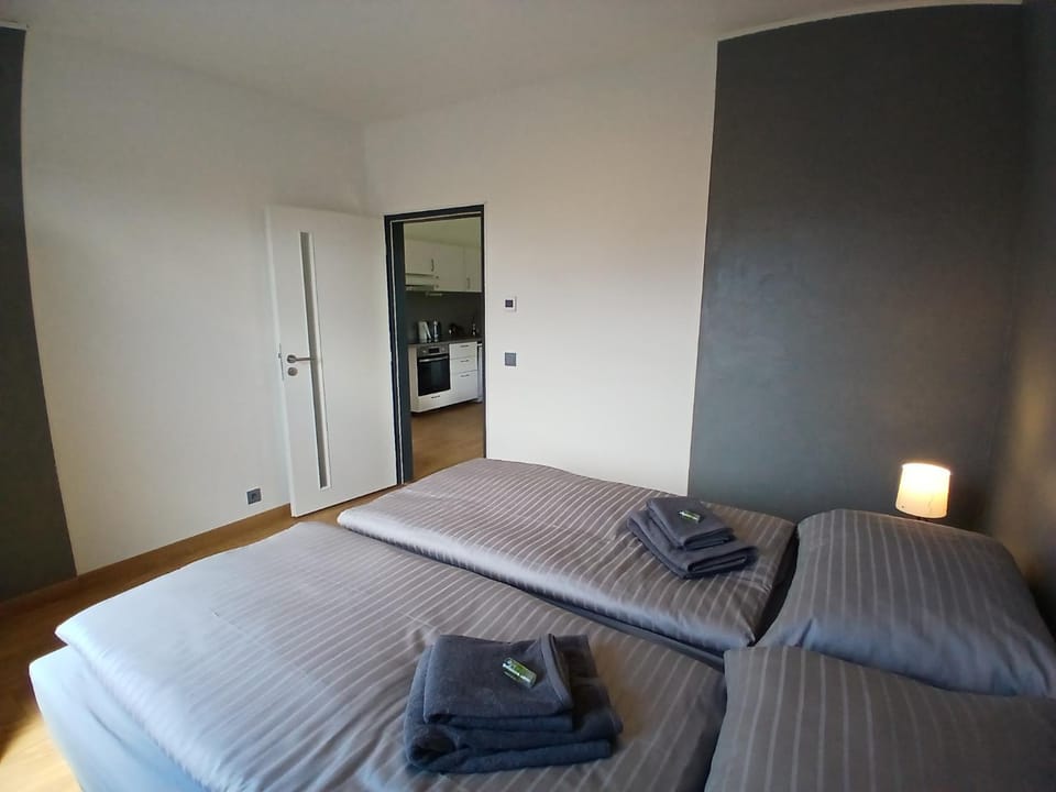 GrayHouse Apartment in Czechia
