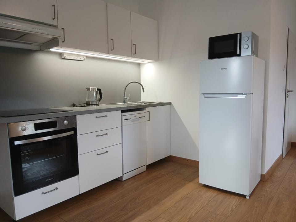 GrayHouse Apartment in Czechia