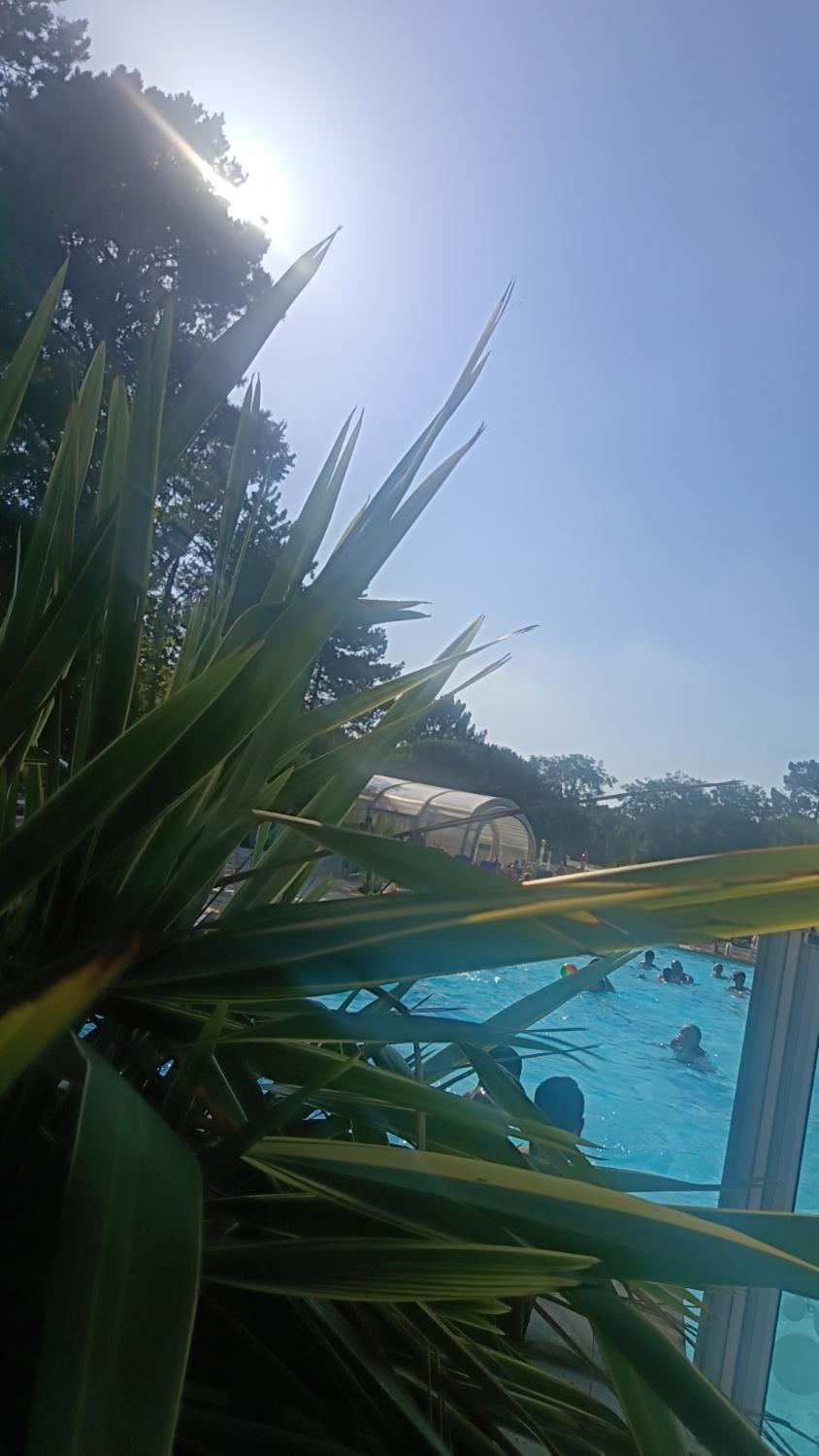 Day, Pool view, Swimming pool
