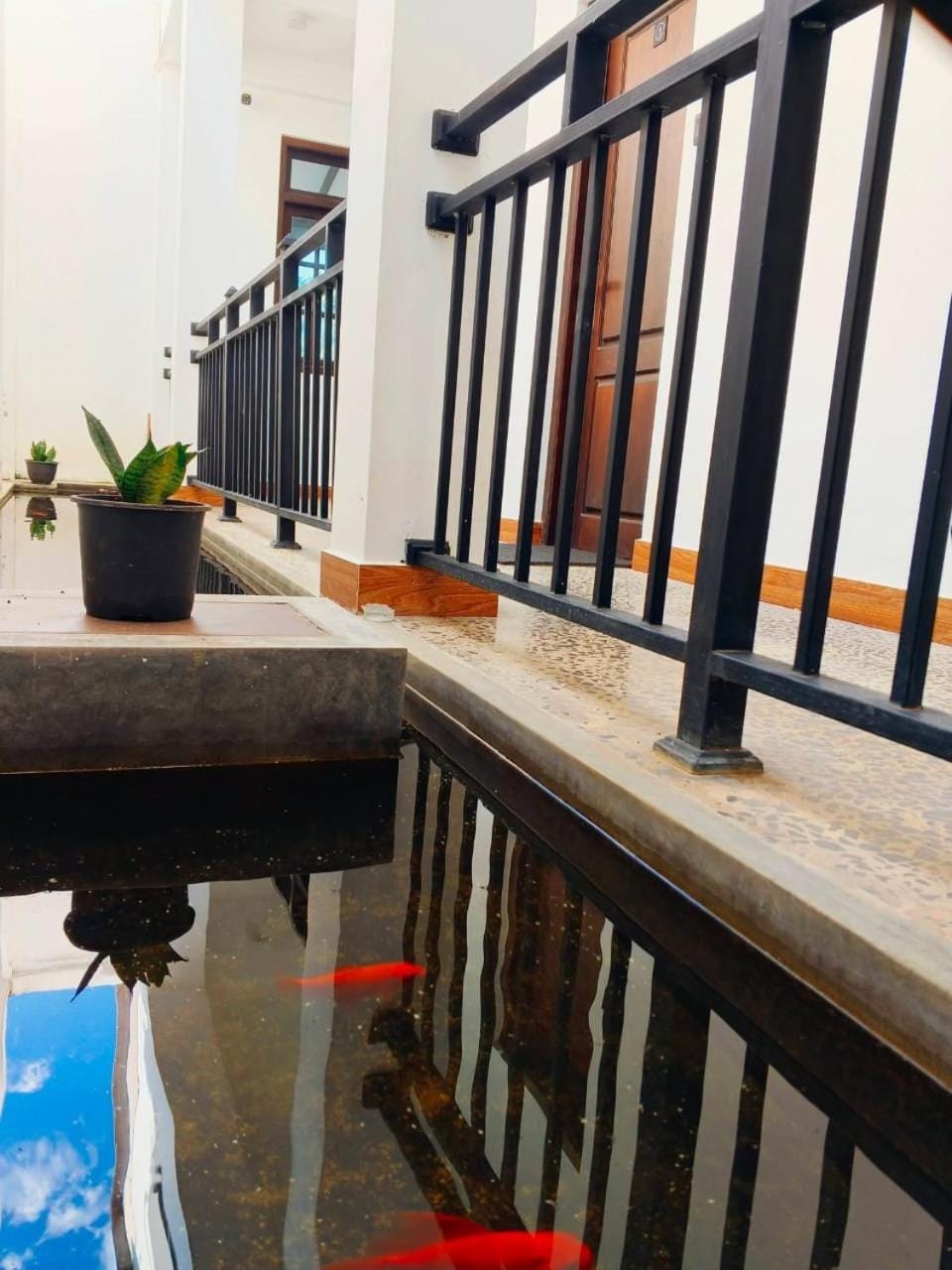 windreams hotel Bed and Breakfast in Sri Lanka