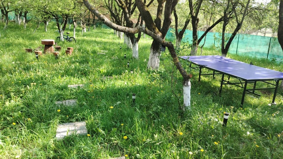 Garden, Table tennis