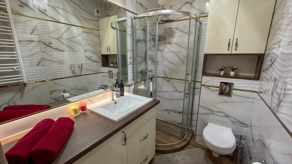 Apartament Old Town "Savannah Cat" Free Parking Apartment in Poland