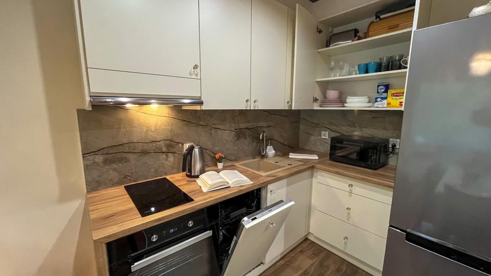 Apartament Old Town "Savannah Cat" Free Parking Apartment in Poland