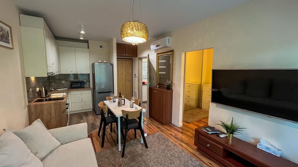 Apartament Old Town "Savannah Cat" Free Parking Apartment in Poland