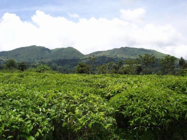 BUSH HOMESTAY&TOURs Vacation rental in Mbeya Region