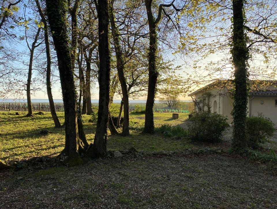 Property building, Natural landscape, Garden view, Sea view